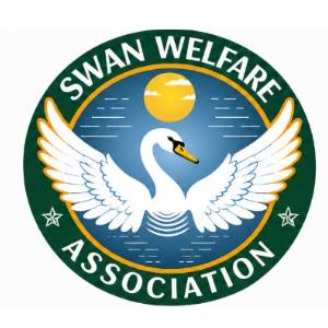 ngo-logo