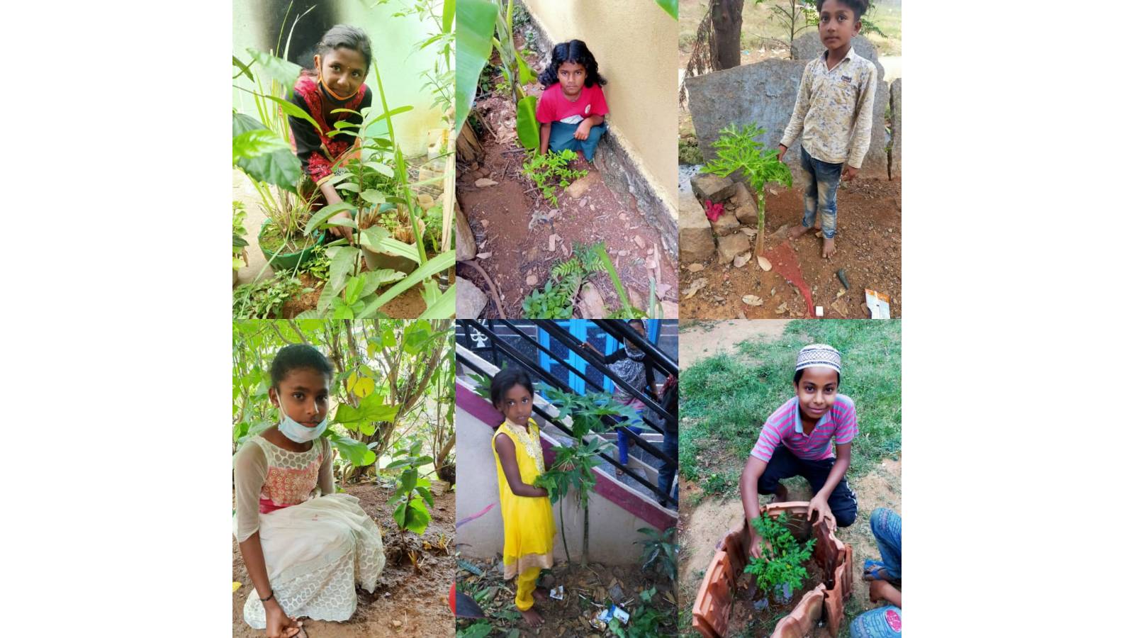 Project Bank of Nutrition, Experiential learning through planting saplings