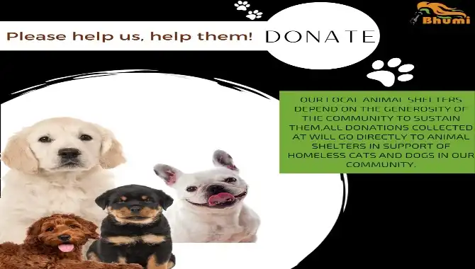Animal Shelter Home Visit