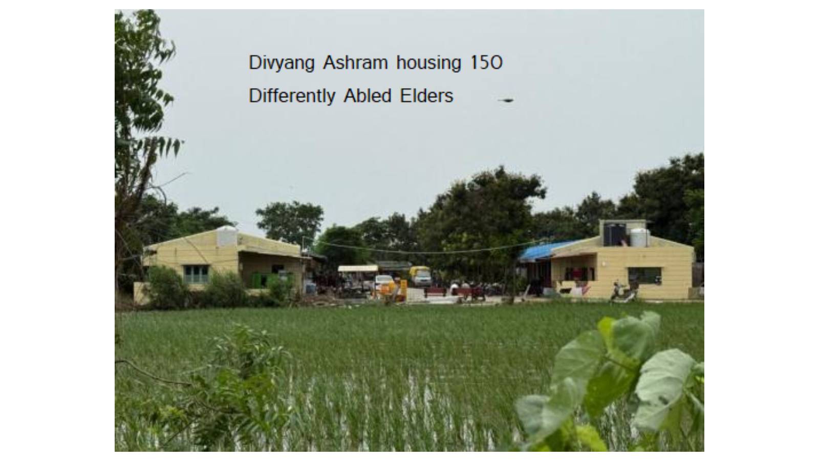Divyang Ashram housing 150 differently abled elders