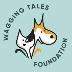 ngo-logo