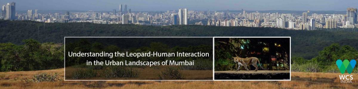 Donate for Animal Welfare and Support Wildlife Conservation Society