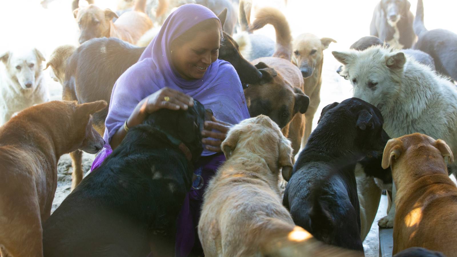 Animal Caregiver with the dogs