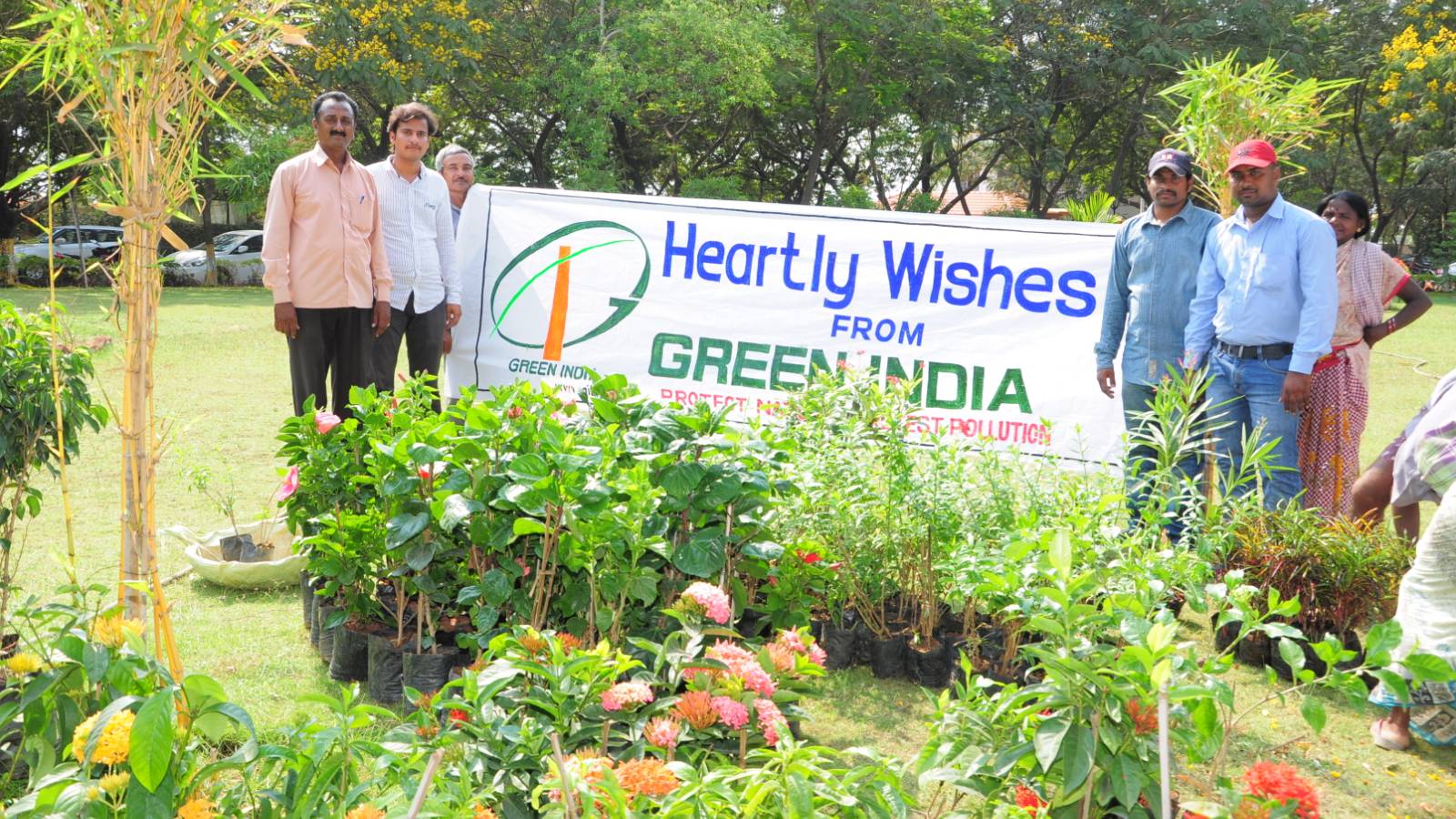 Under Brillion Tree Plantation Project