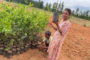 Food Forest Project Give Fundraisers Food Forest Project Give Fundraisers
