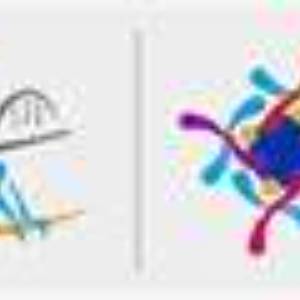 Rotary Club of Madras East Trust