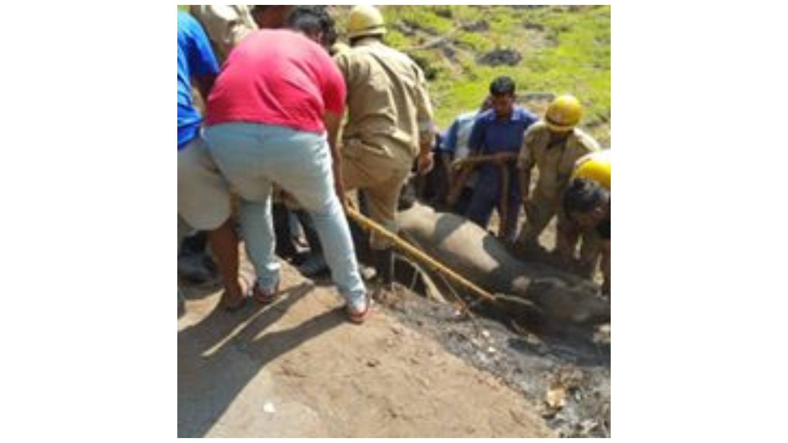 rescue with help of authorities