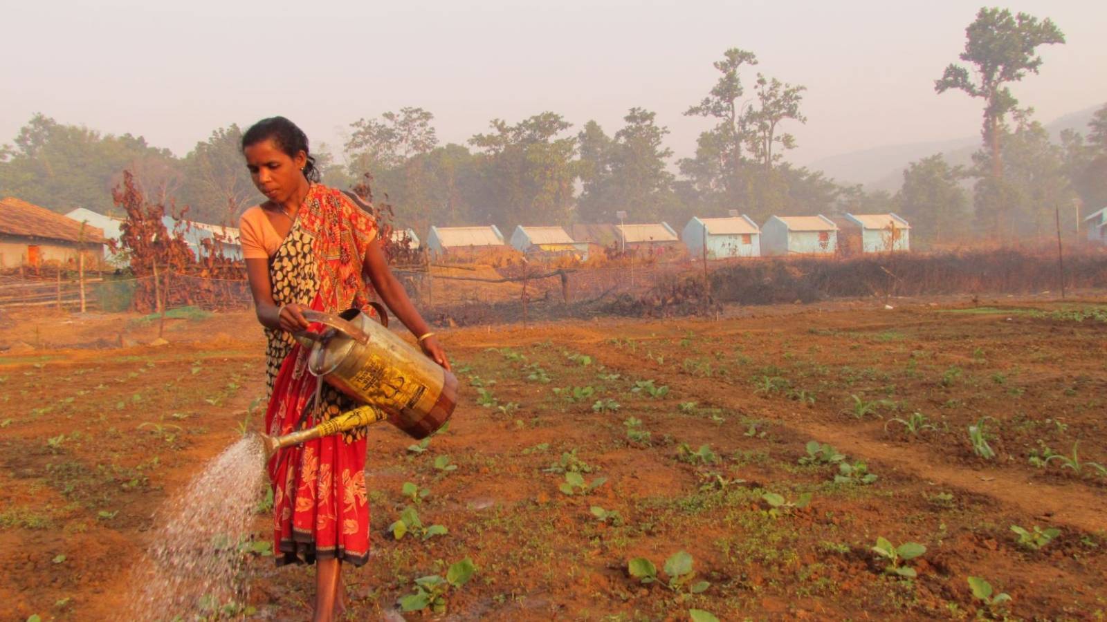 Picture from the affected area