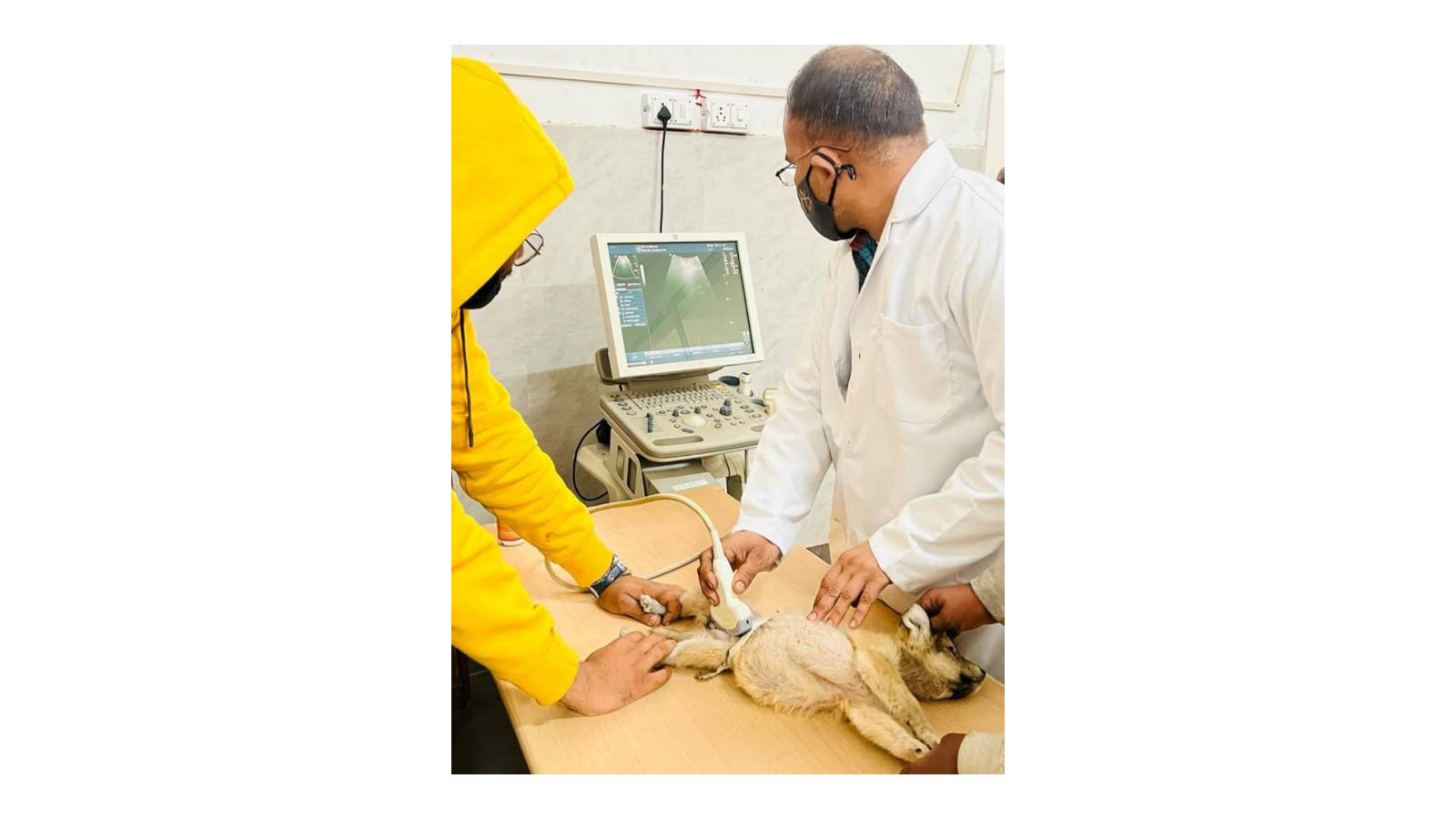 Advanced Medical Equipment