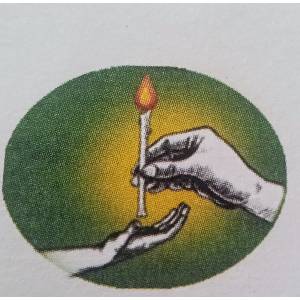 ngo-logo