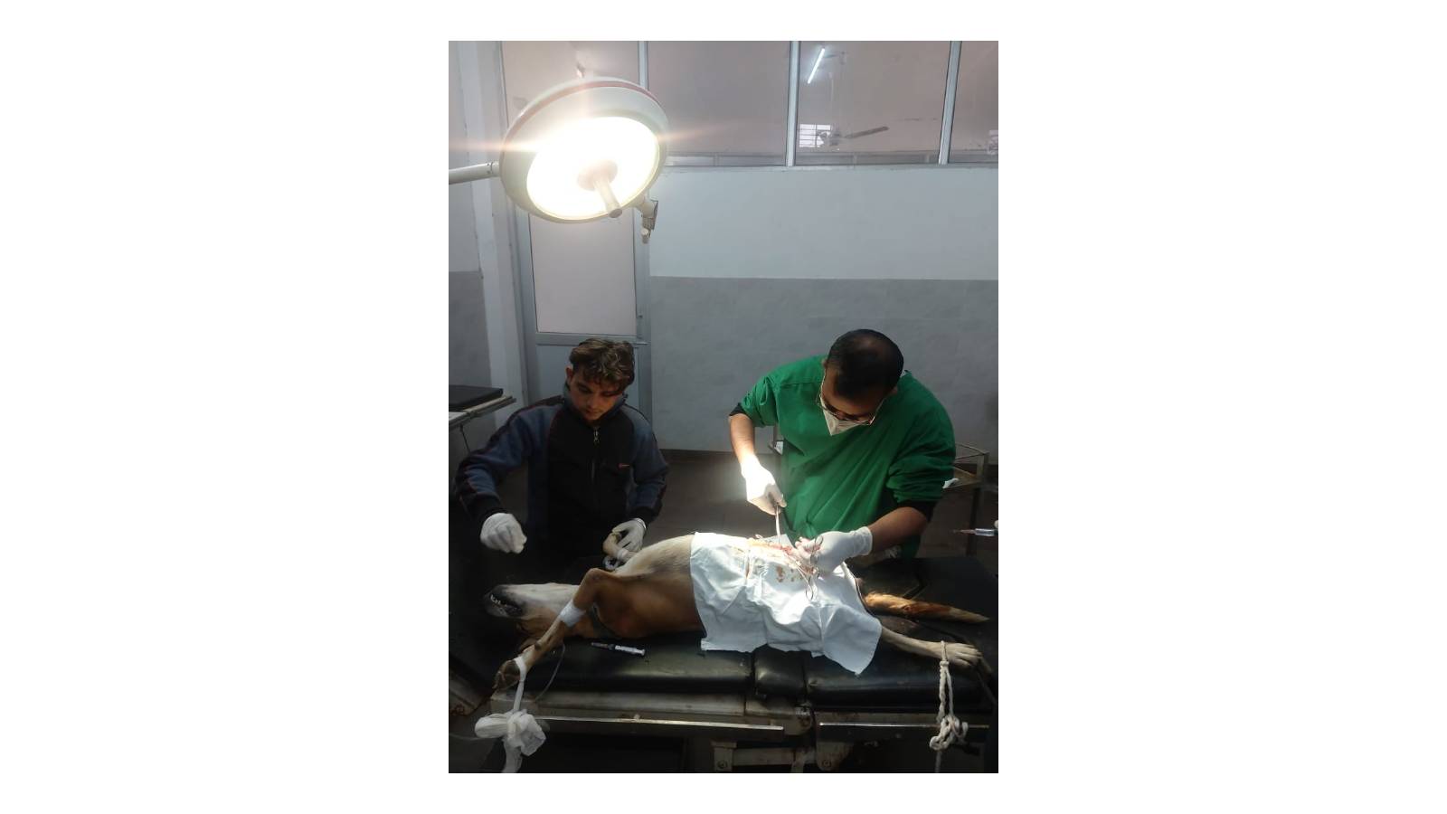 Dedicated Operation Theatre