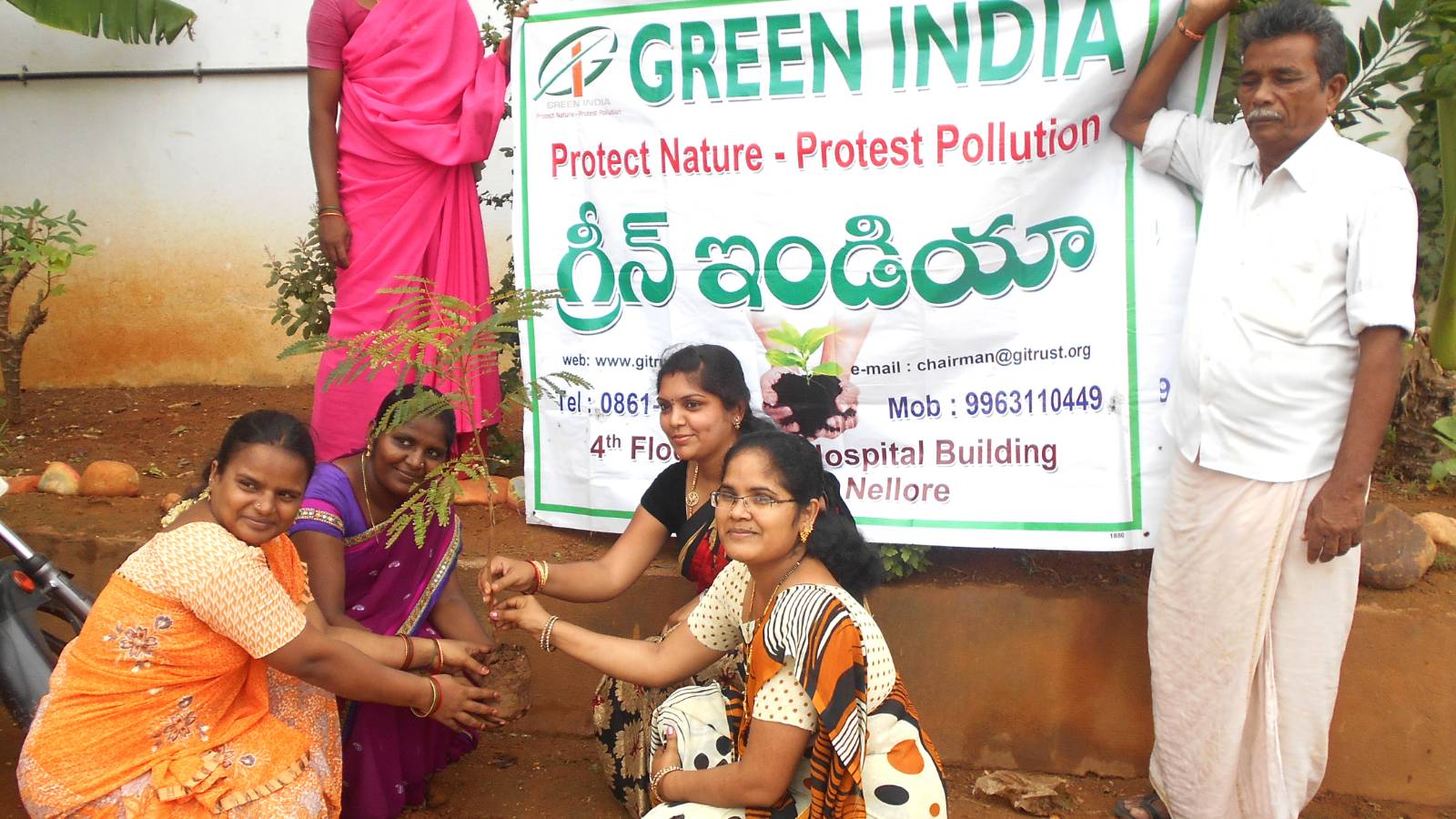 Under Brillion Tree Plantation Project